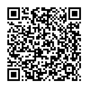 但是他的身体已经在t病毒的开发下拥有比普通人强大数倍的潜力和基础二维码生成