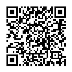 但是他身上那种淡定的气势却让他和身后的小弟不敢对抗二维码生成