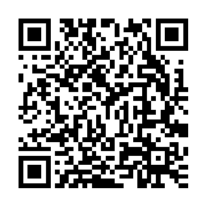 但是他锋利的抓在却在猛犸古象的身上留下了数道锋利的血痕二维码生成