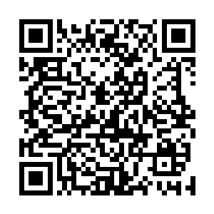 但是他面前自称叫做十三号的人完全没有和他握手的意思二维码生成