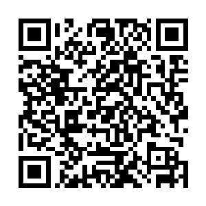 但是你什么时候看到过他们对丁林和赵淑英两个人动手过二维码生成