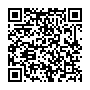 但是你特么说倒数第一考了全国第一……这就是明显作弊了二维码生成