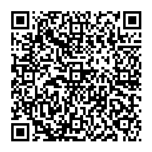 但是你能不能不要把那些传统充满玄妙意蕴文字美感的名称统统弄成你现在所说的这种枯燥乏味干巴巴的名字二维码生成