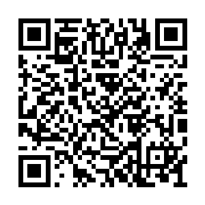 但是依然以势可缓却不可挡的蛮横姿态继续下坠二维码生成