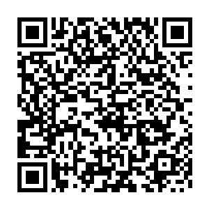 但是借用的是神兽小龙的力量……这对于秦方个人的损耗却是极小的二维码生成