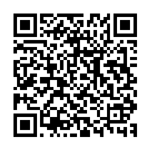 但是其中的器灵或者封印的某个存在和力量就会一直反抗到底二维码生成