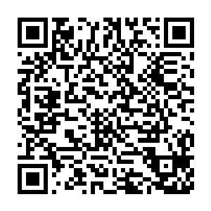 但是其他的白衣弟子和青衣弟子一个个可都是信心满满的走上了擂台二维码生成