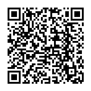 但是再一次听到徐清尘的拒绝的时候心中却不可避免的更多了几分失落和抽痛二维码生成