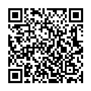 但是凭感觉杨晨来到了巨石荒地和之前所见到的截然不同的地方二维码生成