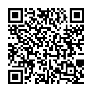 但是刚才我真的看到了有什么东西正在从我们的船旁边划过去二维码生成
