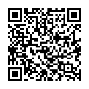 但是单一的蜱虫的神识强度在张萧晗面前简直是可以忽略不计了二维码生成