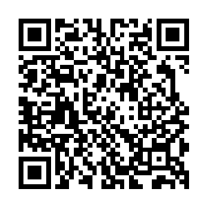 但是单单每个月的分红已经足够让林烽一家过上豪奢的生活了二维码生成