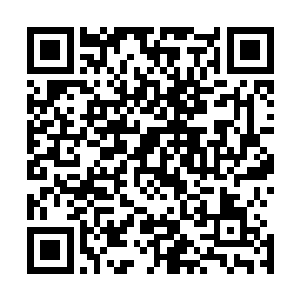 但是卢八娘还是勉强笑了笑对隔着纱屏站在床边的几个人说二维码生成