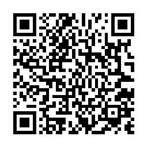 但是却十分强大的阵法散发出璀璨的光芒照耀着这方殿宇二维码生成