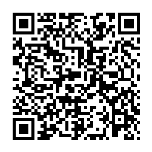 但是却在利用自己的智慧指导着她的大哥在世界上最肮脏的环境里穿行二维码生成