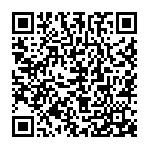 但是却没有办法保证可以隐瞒的了整个西方最大的巨头之一的圣廷教皇啊二维码生成