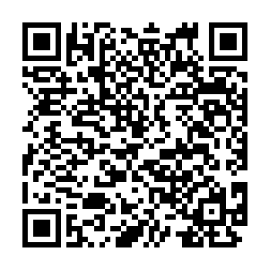 但是却没有想到他们的真的以化神期的修士将炼虚境界的妖兽击杀了二维码生成