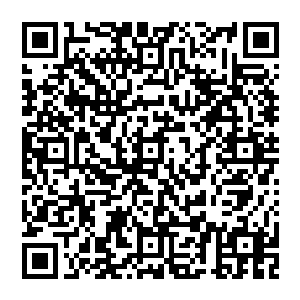 但是却没有百分百的把握能在干掉费德思的同时也干掉那两个由迪亚波罗和墨菲斯托所转生的家伙二维码生成