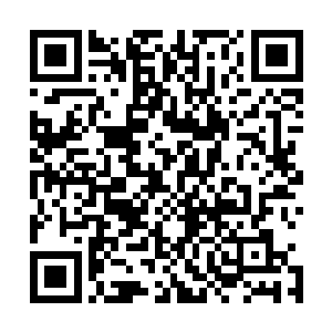 但是却没有看到在这背后医生究竟付出了怎样的努力和代价二维码生成