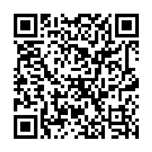 但是却的的确确在屏幕上蛮养眼的美女们靓丽的身段儿二维码生成