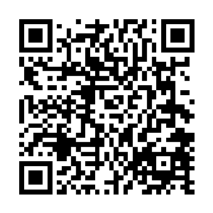 但是却立即反应过来流墨墨明明刚刚才看过自己的记忆的啊~二维码生成