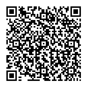 但是可以预料这两大派系必然会在今后的工作中因为这样那样的看法观点的不一致而出现矛盾二维码生成