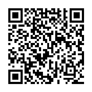 但是后续也没有什么更好的办法……一旦神灵古棺的实力恢复了二维码生成