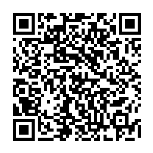 但是听着定王轻描淡写的说问不出来就杀了吧就像在说今天天气真好的模样二维码生成