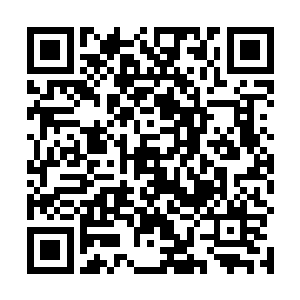 但是和小白完全是一个模子里刻出来的花株显现了出来二维码生成