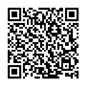 但是哈佛总院的医生上面却是很清楚的标识着丁羽的一些状况二维码生成