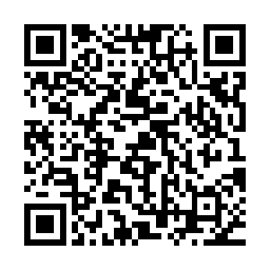 但是在后来总能够找个时间通过传讯玉简和他的父亲联系一下吧二维码生成