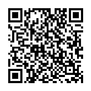 但是在大家明显地表现出来他们对梵天和白面的怀疑的时候二维码生成