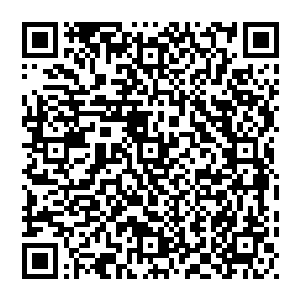 但是在常委会上秦海基和曹刚的连消带打很大程度压缩了自己提出要加大力度招商引资和筹建开发区带来的冲击力二维码生成