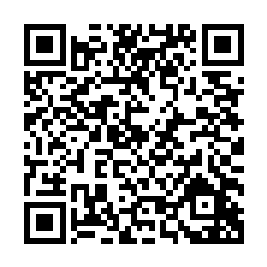但是在流墨墨收敛了气息还时不时和他叽叽喳喳的聊几句之后二维码生成