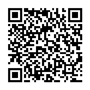 但是在皇宫之中与那些皇子皇女大战的时候又表现的很一般二维码生成