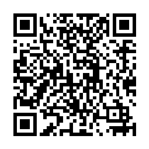 但是在肖恩听到苏凡的这句话之后确实没有任何的反应二维码生成