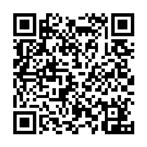 但是地尊期的境界还是让他勉强暂时抵挡住傀儡的攻击二维码生成