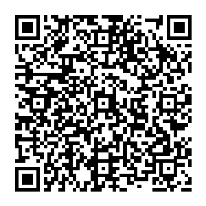 但是墨小宝同学还是敏锐的察觉了这个曾经跟自己一块儿离家出走出去玩儿的小皇帝对自己的敌意二维码生成