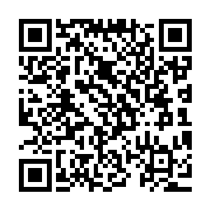 但是夏儿不知道的是在白面的身体里占了大多数作用是这个毒素二维码生成