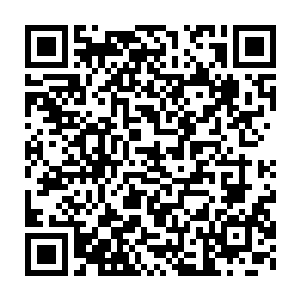 但是夏力行还是最喜欢在自己家里细嚼慢咽的享受妻子做的清蒸鱼二维码生成