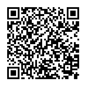 但是奴才连东宫的门都进不去……东宫内侍说九殿下根本没去过东宫二维码生成