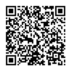 但是如何把蓝岛的城市经济乃至整个黄渤海经济圈和东北亚经济区域结合起来二维码生成
