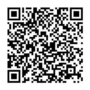 但是它却是真正的皮糙肉厚的……硬生生的挨了阴风狼的一记重击二维码生成