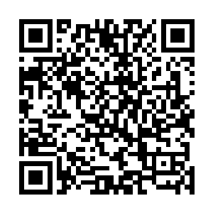 但是定国王府依然还是有让皇室不敢轻易动他的底牌是么二维码生成