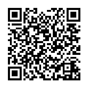 但是宠得无法无天让他连在皇帝面前都不怕的可是少有二维码生成