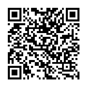 但是家族的绝大多数的产业几乎都被另外的三大家族吞并了二维码生成