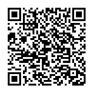 但是容貌清丽婉约中却带着一丝极淡的却仿佛让人移不开眼的光华和威仪二维码生成