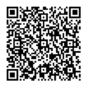 但是寒冰界这恶劣的环境下很多留下来的武者不得不做很多他们之前不曾做过的事情二维码生成