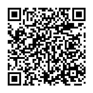 但是对于一般的仙界的仙人来说两万年的时间不过是弹指一瞬间而已二维码生成
