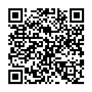 但是对于这篇将近两百五十万的长文最后能够还算圆满的完结二维码生成